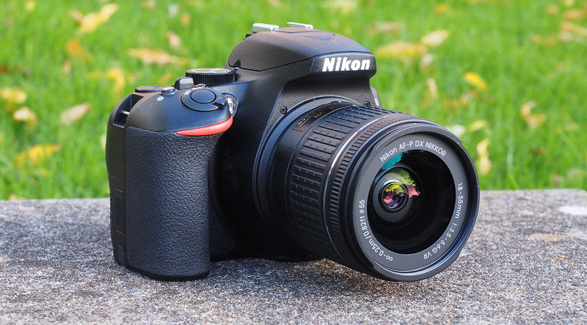 venenatis sollicitudin sed non lorem