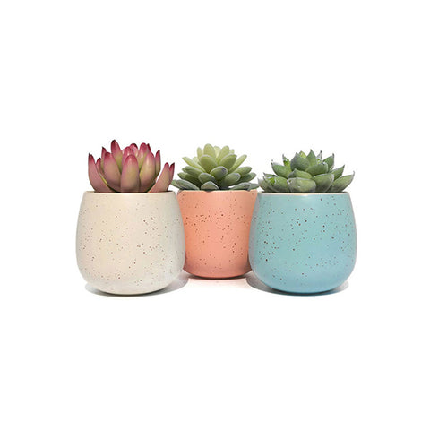 Praesent porttitor orci ac lorem convallis