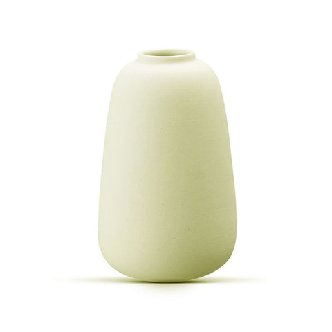 Fusce ullamcorper aliquam maximus